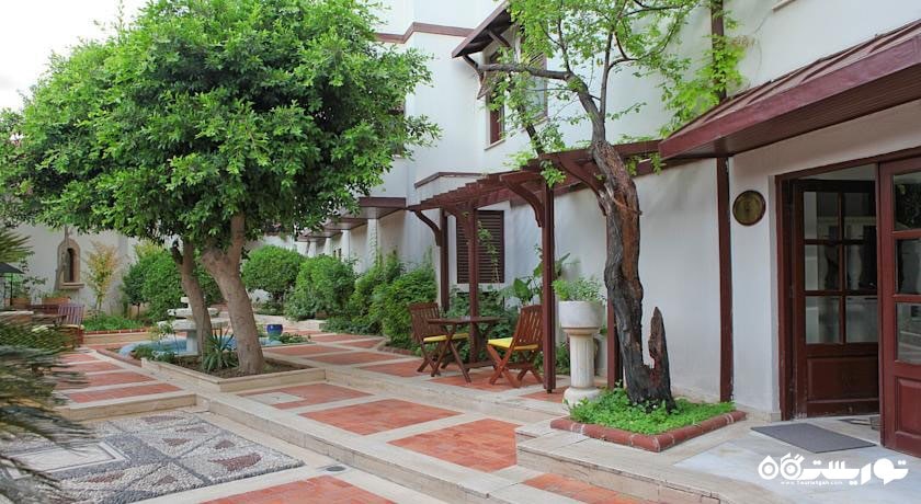 فضای سبز هتل آسپن